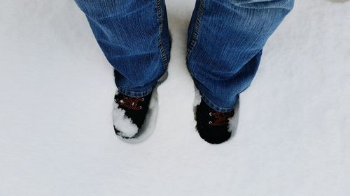 Low section of man wearing canvas shoes