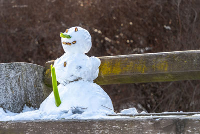 Close-up of snow on wood