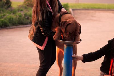 Midsection of woman holding dog drinking water from birdbath