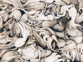 Full frame shot of fishing net