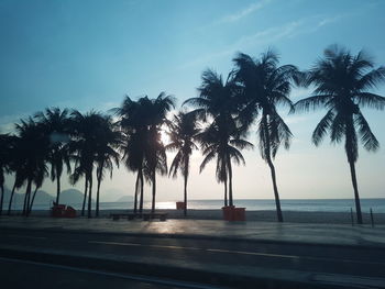 Silhouette of palm trees by sea against sky