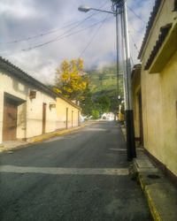 Street amidst houses in town