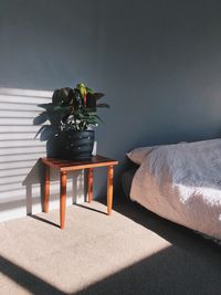 Potted plant on table at home