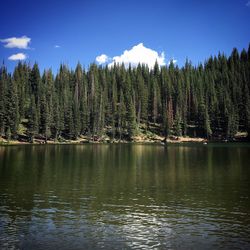 Scenic view of lake in forest against sky