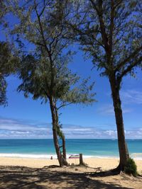 Tree by sea against sky