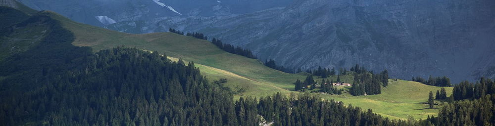 High angle view of land