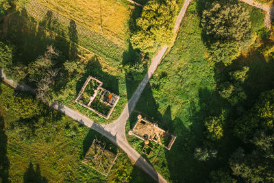 High angle view of road amidst trees