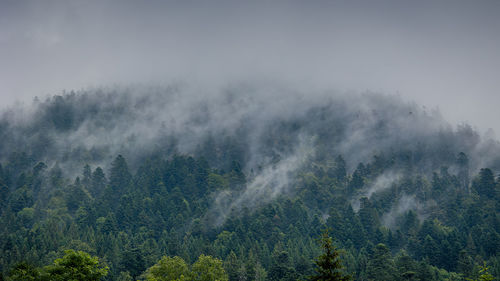 The misty hills and mountains after heavy rain in the vosges region of france , xonrupt-longemer