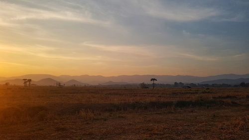 Scenic view of field against sky during sunset