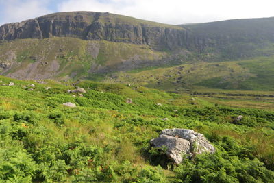 Scenic view of landscape