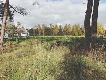 Scenic view of field against sky