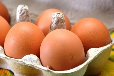 Close-up of eggs in container