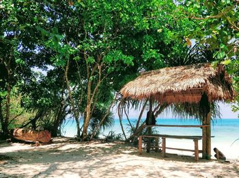 Gazebo on beach by trees