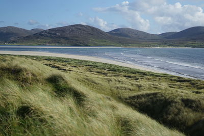 Scenic view of beach against sky