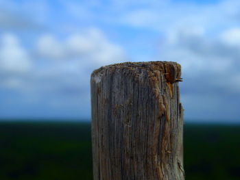 Close-up of wooden post on tree stump against sky