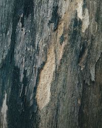 Full frame shot of wood