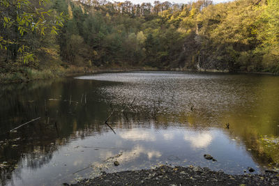 Scenic view of lake in forest against sky