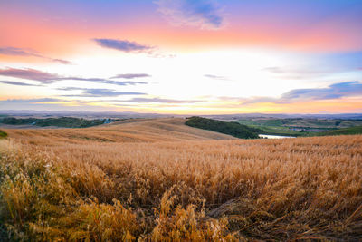 Scenic view of field against sky during sunset