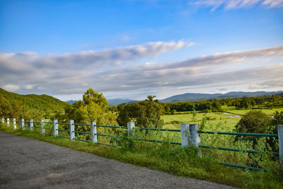 Road amidst plants on field against sky