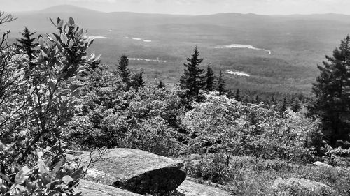 Scenic view of mountains