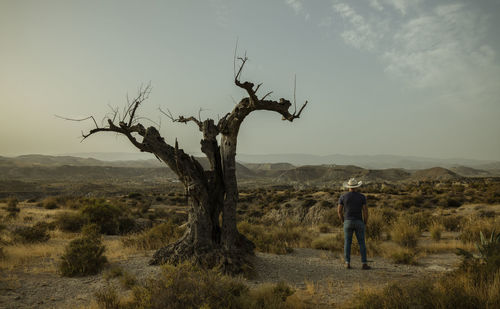 Rear view of man standing on mountain against sky