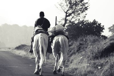 Rear view of men riding horse