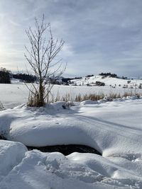 Scenic view of snow covered field against sky