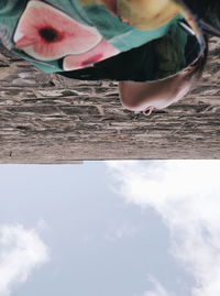 Low section of woman sitting on wood against sky