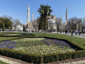 Scenic view of field and landmark of turkey mosque against sky at istanbul, turkey