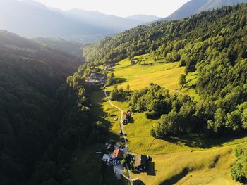 High angle view of trees on landscape