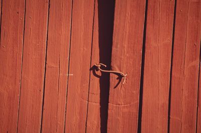 Full frame shot of wood