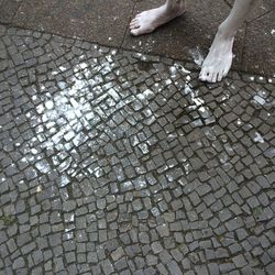 High angle view of person standing on footpath