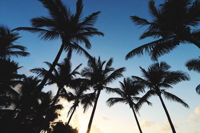 Low angle view of silhouette palm trees against sky during sunset