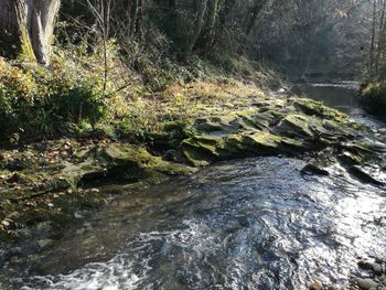 Full frame shot of water