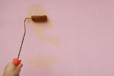 Close-up of hand holding pink rose against wall