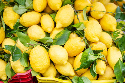 Full frame shot of lemons