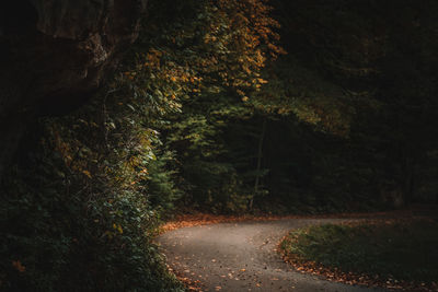 Road amidst trees in forest