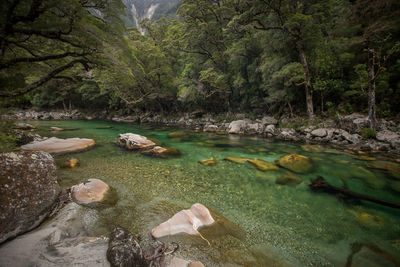 Stream flowing through rocks in forest