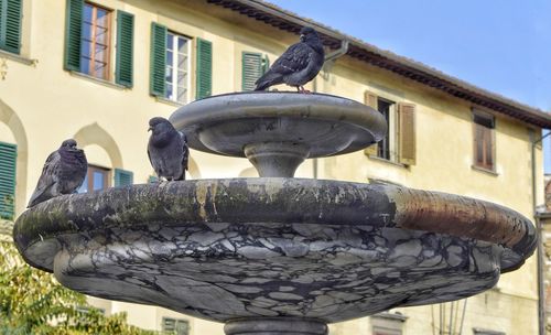 Low angle view of statue against fountain in city