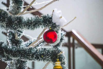 Close-up of christmas tree during winter