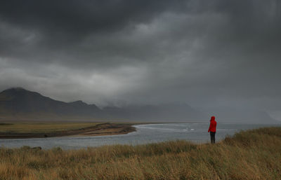 Rear view of man standing on field against sky