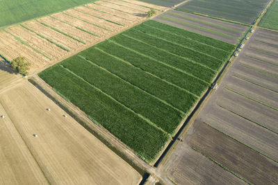 Photographic documentation of the cultivations of the fields seen from above