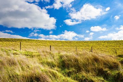 Scenic view of field against sky