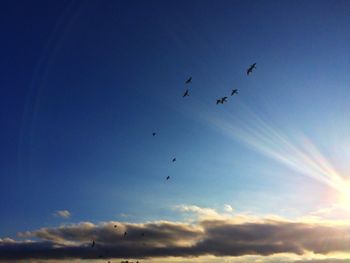 Low angle view of airplane flying in sky