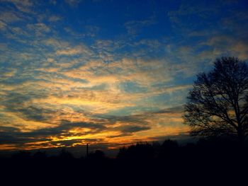 Silhouette of trees at sunset