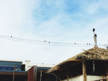 Low angle view of birds on roof against sky