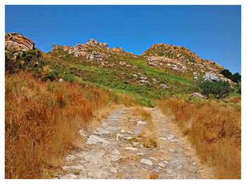 Scenic view of landscape against clear sky