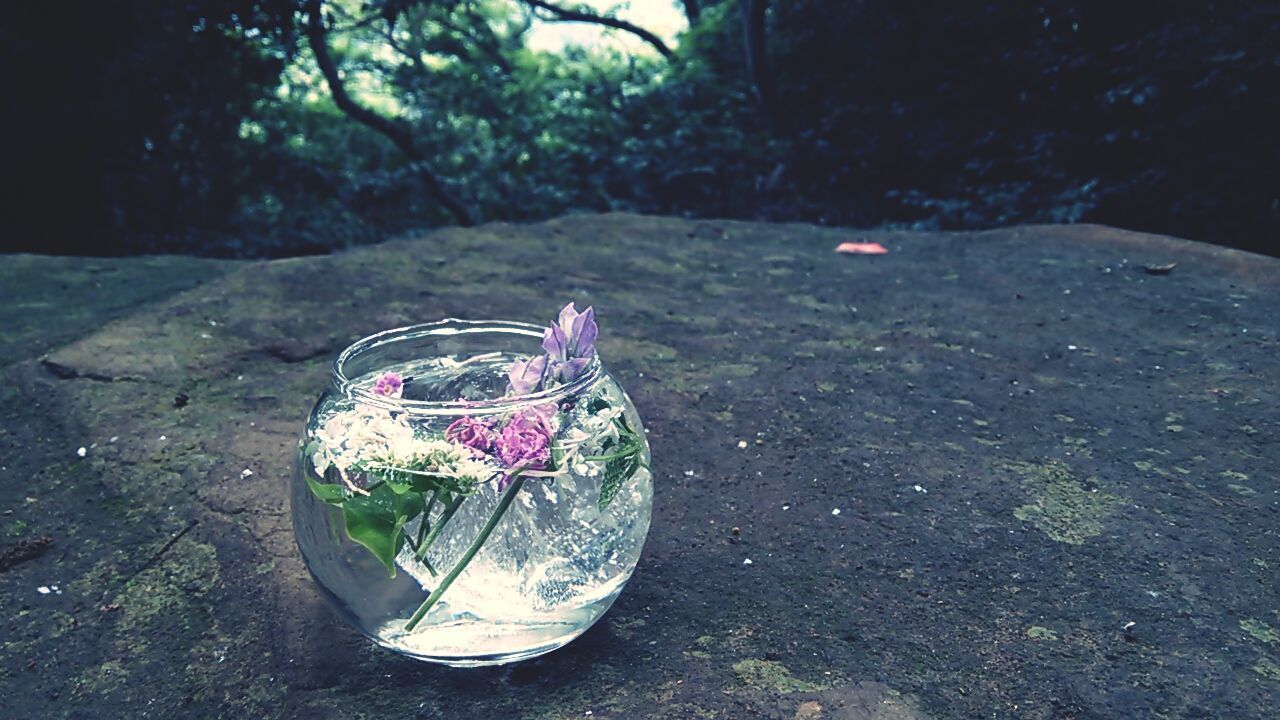 transportation, mode of transport, water, tree, nature, close-up, outdoors, land vehicle, reflection, day, bicycle, no people, sunlight, plant, beauty in nature, flower, tranquility, growth, pink color, focus on foreground