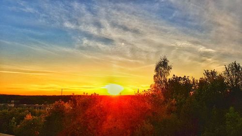 Trees on field against sky during sunset