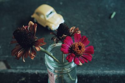 High angle view of pink flowers in vase